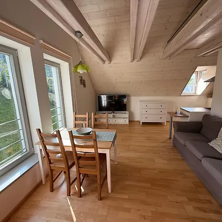 U Venuse Apartament