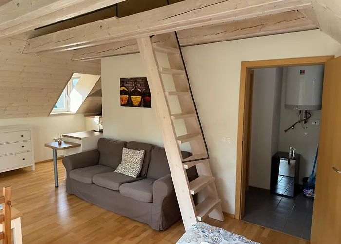 U Venuše